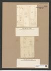 Melosira granulata var. jonensis Grun. (de-Toni-Nr.: Genus 213, Species 5311) Zeichnungen Sammlung Grunow Nr. 9183 (NHMW-BOT-W0378964)